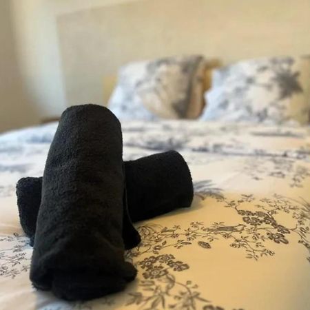 Cosy Rent Strasbourg Appartement Wifi Terrasse المظهر الخارجي الصورة